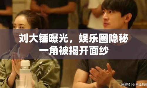 劉大錘曝光，娛樂圈隱秘一角被揭開面紗