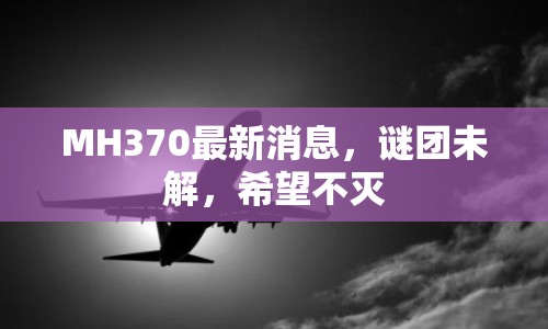 MH370最新消息，謎團(tuán)未解，希望不滅