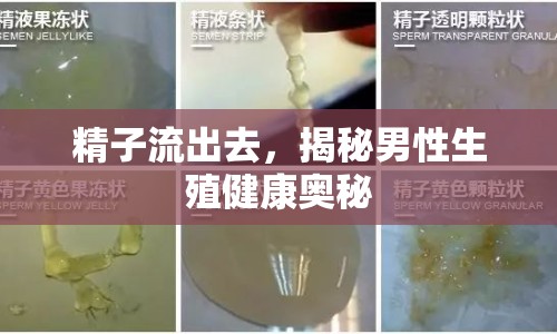 精子流出去，揭秘男性生殖健康奧秘
