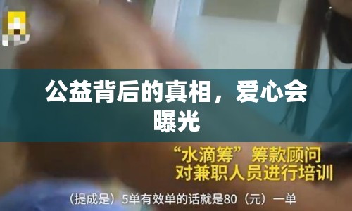 公益背后的真相，愛心會(huì)曝光