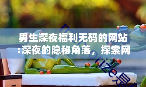 男生深夜福利無碼的網站:深夜的隱秘角落，探索網絡娛樂的邊界