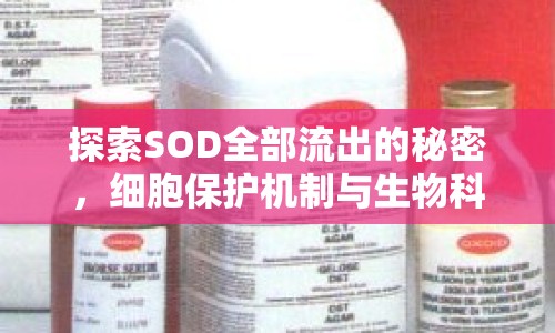 探索SOD全部流出的秘密，細胞保護機制與生物科技應用
