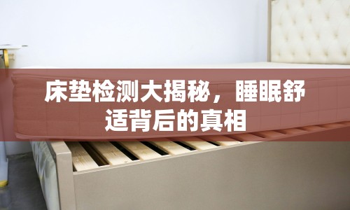 床墊檢測(cè)大揭秘，睡眠舒適背后的真相