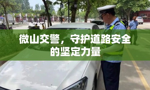 微山交警，守護(hù)道路安全的堅(jiān)定力量