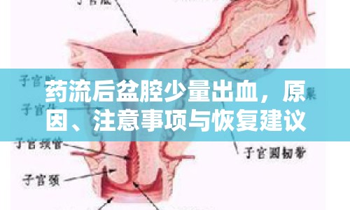藥流后盆腔少量出血，原因、注意事項與恢復(fù)建議