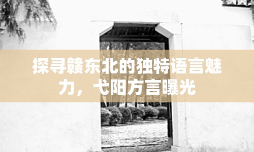 探尋贛東北的獨(dú)特語言魅力，弋陽方言曝光