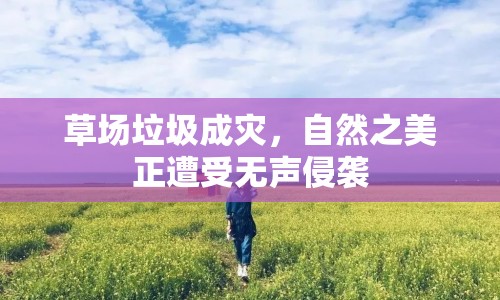 草場垃圾成災(zāi)，自然之美正遭受無聲侵襲