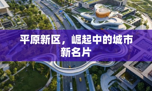 平原新區(qū)，崛起中的城市新名片