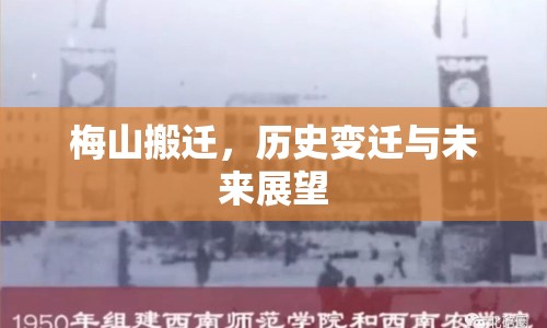 梅山搬遷，歷史變遷與未來展望
