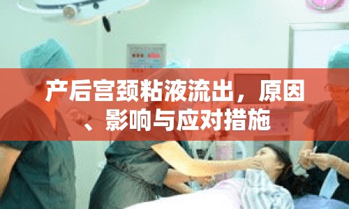 產(chǎn)后宮頸粘液流出，原因、影響與應對措施