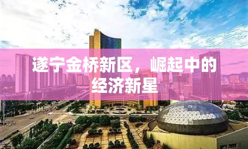 遂寧金橋新區(qū)，崛起中的經(jīng)濟新星