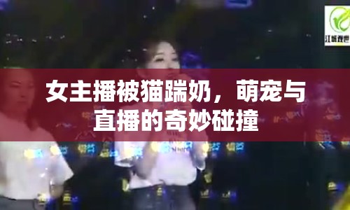 女主播被貓踹奶，萌寵與直播的奇妙碰撞