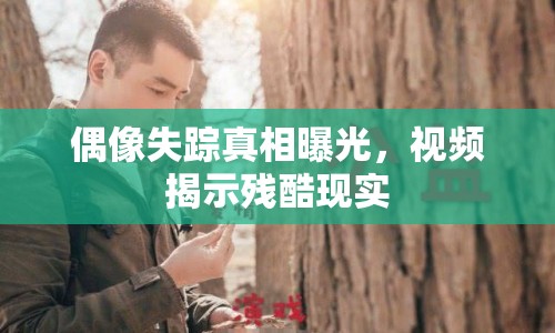 偶像失蹤真相曝光，視頻揭示殘酷現(xiàn)實(shí)
