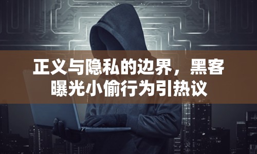 正義與隱私的邊界，黑客曝光小偷行為引熱議