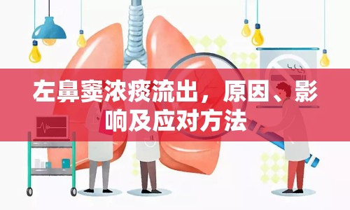 左鼻竇濃痰流出，原因、影響及應(yīng)對方法