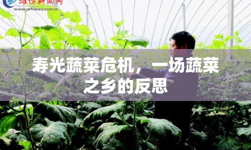 壽光蔬菜危機(jī)，一場(chǎng)蔬菜之鄉(xiāng)的反思