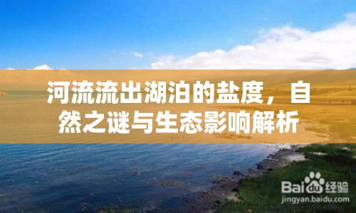 河流流出湖泊的鹽度，自然之謎與生態(tài)影響解析