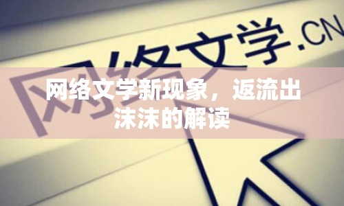 網(wǎng)絡文學新現(xiàn)象，返流出沫沫的解讀