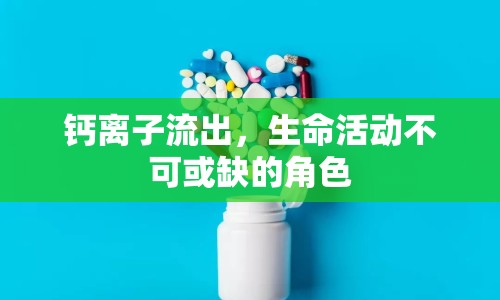 鈣離子流出，生命活動不可或缺的角色