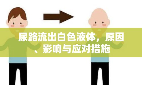 尿路流出白色液體，原因、影響與應(yīng)對(duì)措施