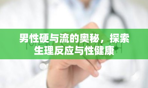 男性硬與流的奧秘，探索生理反應(yīng)與性健康