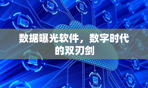 數(shù)據(jù)曝光軟件，數(shù)字時代的雙刃劍