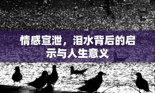 情感宣泄，淚水背后的啟示與人生意義