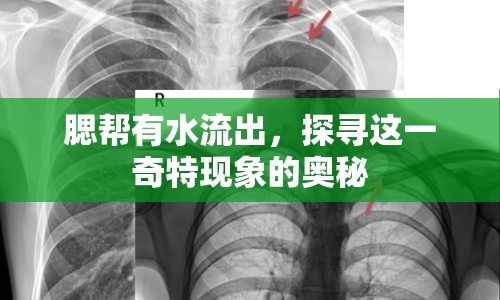 腮幫有水流出，探尋這一奇特現(xiàn)象的奧秘