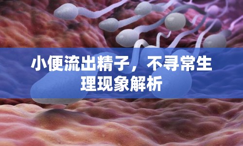 小便流出精子，不尋常生理現(xiàn)象解析