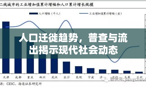人口遷徙趨勢(shì)，普查與流出揭示現(xiàn)代社會(huì)動(dòng)態(tài)