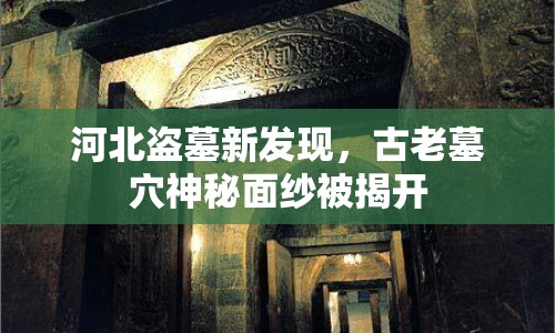 河北盜墓新發(fā)現(xiàn)，古老墓穴神秘面紗被揭開