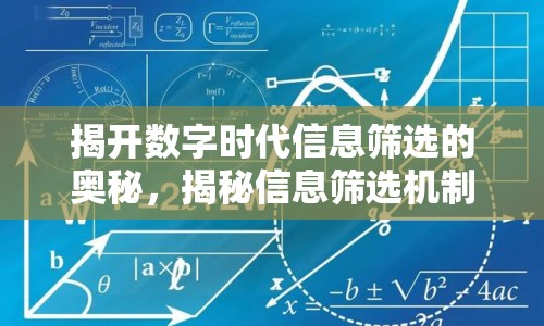 揭開數(shù)字時代信息篩選的奧秘，揭秘信息篩選機(jī)制