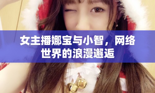 女主播娜寶與小智，網(wǎng)絡(luò)世界的浪漫邂逅