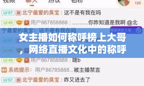 女主播如何稱呼榜上大哥，網絡直播文化中的稱呼與互動揭秘
