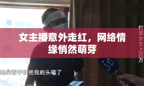 女主播意外走紅，網(wǎng)絡(luò)情緣悄然萌芽