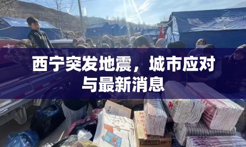 西寧突發(fā)地震，城市應(yīng)對(duì)與最新消息