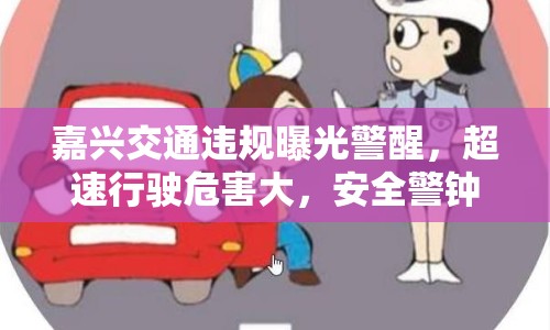 嘉興交通違規(guī)曝光警醒，超速行駛危害大，安全警鐘需長鳴