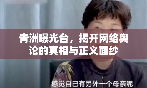 青洲曝光臺(tái)，揭開(kāi)網(wǎng)絡(luò)輿論的真相與正義面紗