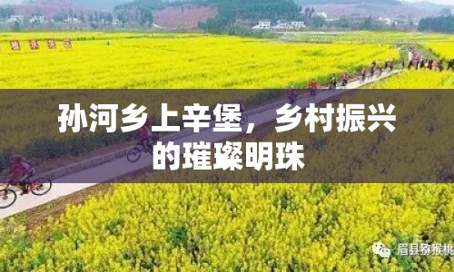 孫河鄉(xiāng)上辛堡，鄉(xiāng)村振興的璀璨明珠