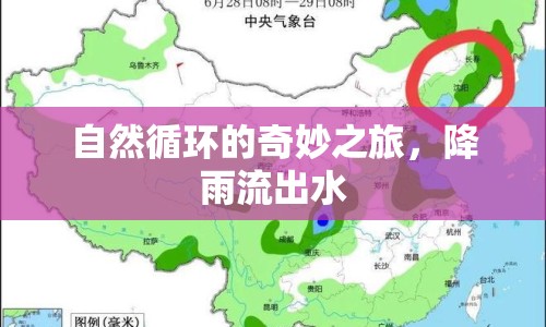 自然循環(huán)的奇妙之旅，降雨流出水