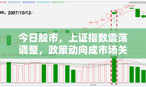 今日股市，上證指數(shù)震蕩調(diào)整，政策動(dòng)向成市場關(guān)注焦點(diǎn)