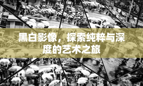 黑白影像，探索純粹與深度的藝術(shù)之旅