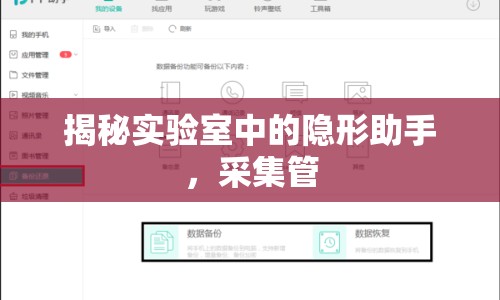 揭秘實驗室中的隱形助手，采集管