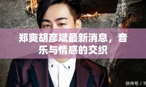 鄭爽胡彥斌最新消息，音樂(lè)與情感的交織