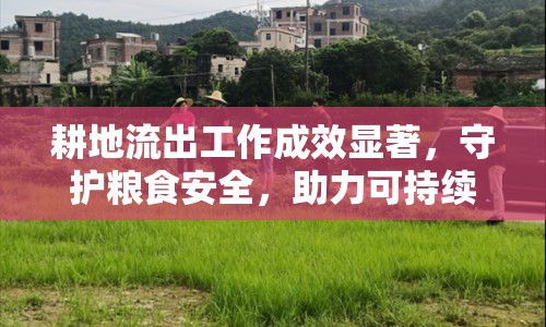 耕地流出工作成效顯著，守護(hù)糧食安全，助力可持續(xù)發(fā)展