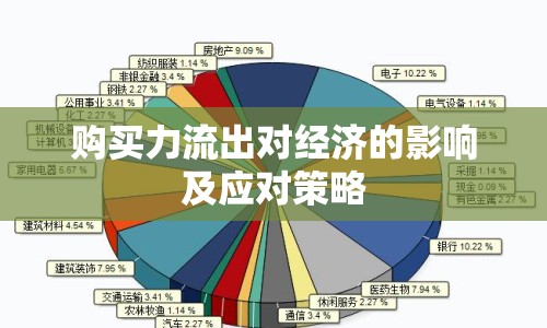 購買力流出對經(jīng)濟的影響及應(yīng)對策略