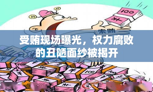受賄現(xiàn)場(chǎng)曝光，權(quán)力腐敗的丑陋面紗被揭開