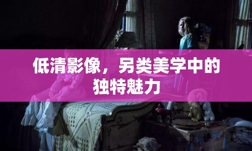 低清影像，另類美學(xué)中的獨(dú)特魅力
