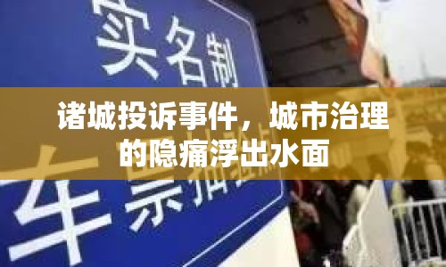 諸城投訴事件，城市治理的隱痛浮出水面