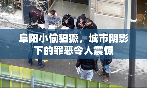 阜陽(yáng)小偷猖獗，城市陰影下的罪惡令人震驚
